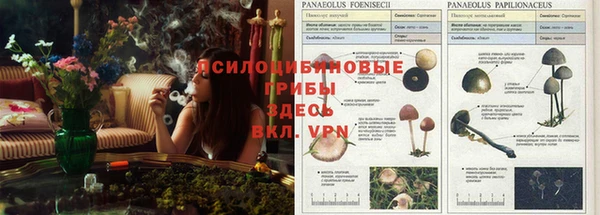 мдма Верхний Тагил